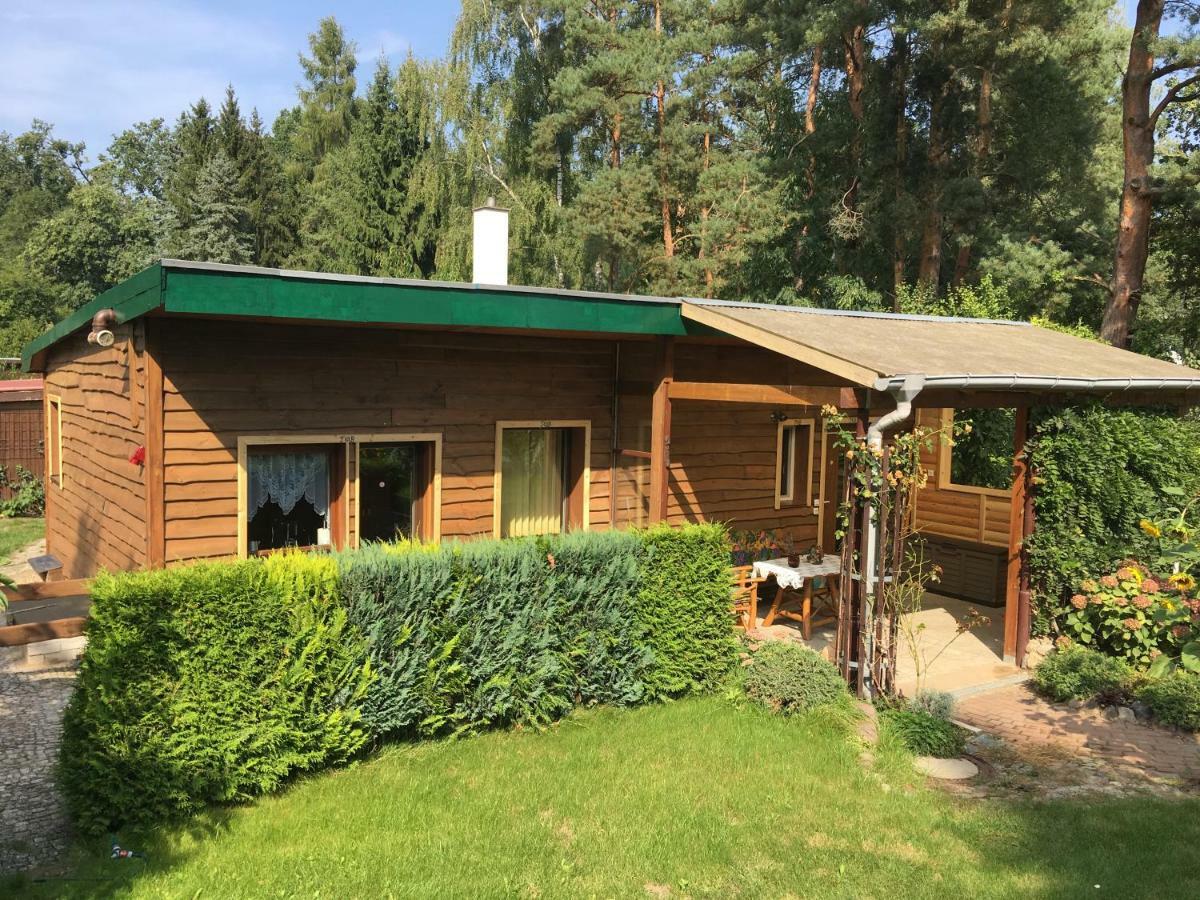Holzhaus Trollbluemchen Am Wald Und See 네우루핀 외부 사진